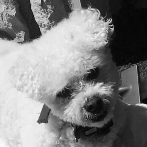 Meet your Posher, Joanne